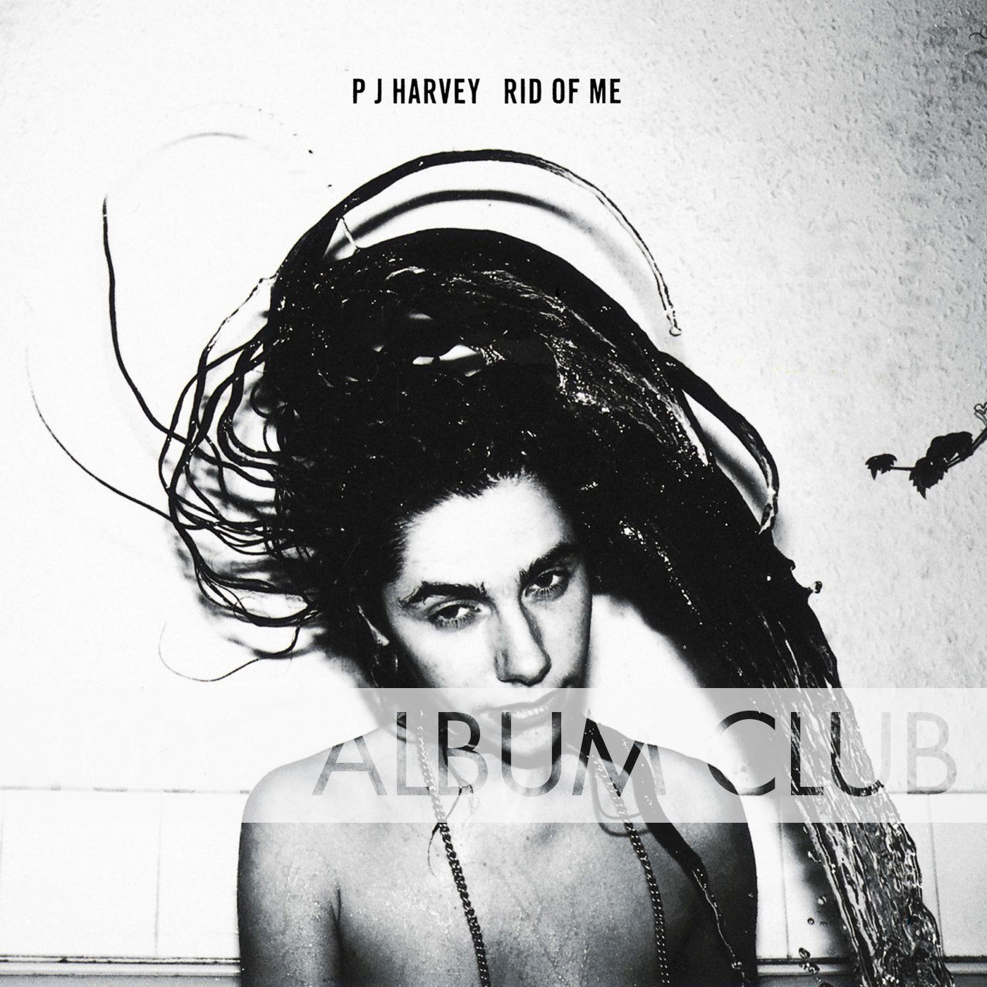 745 PJ Harvey - Rid of Me